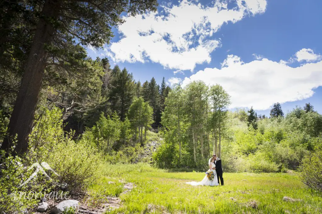 A bride and groom stand close together in the middle of a lush green clearing, completing their beautiful wedding set under a bright blue sky. The bride is in a white dress, and the groom is in a dark suit. Sunlight filters through the trees, casting dappled shadows on the ground. Mt. Rose Ski Tahoe