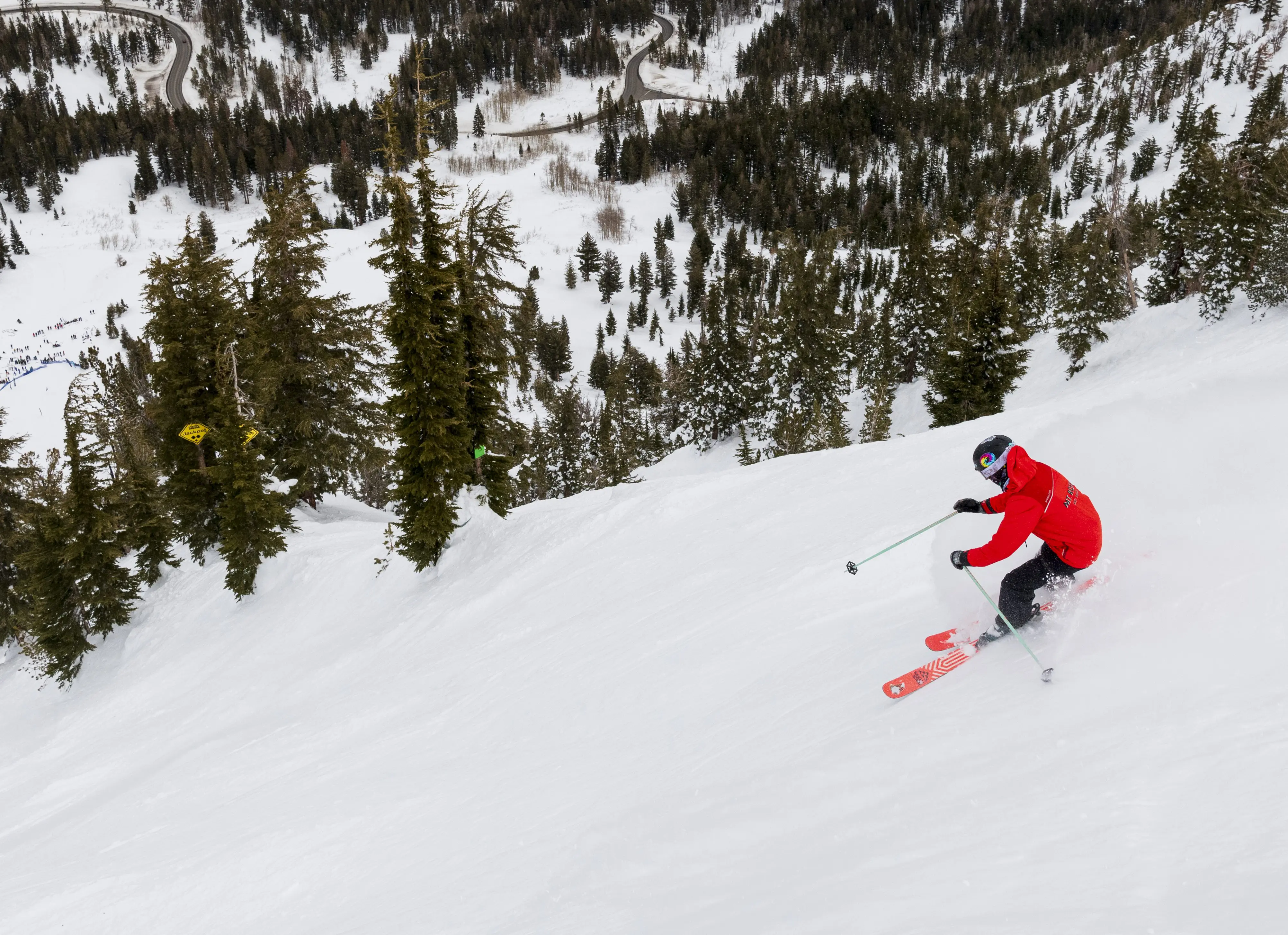 Tahoe Freeride Rose