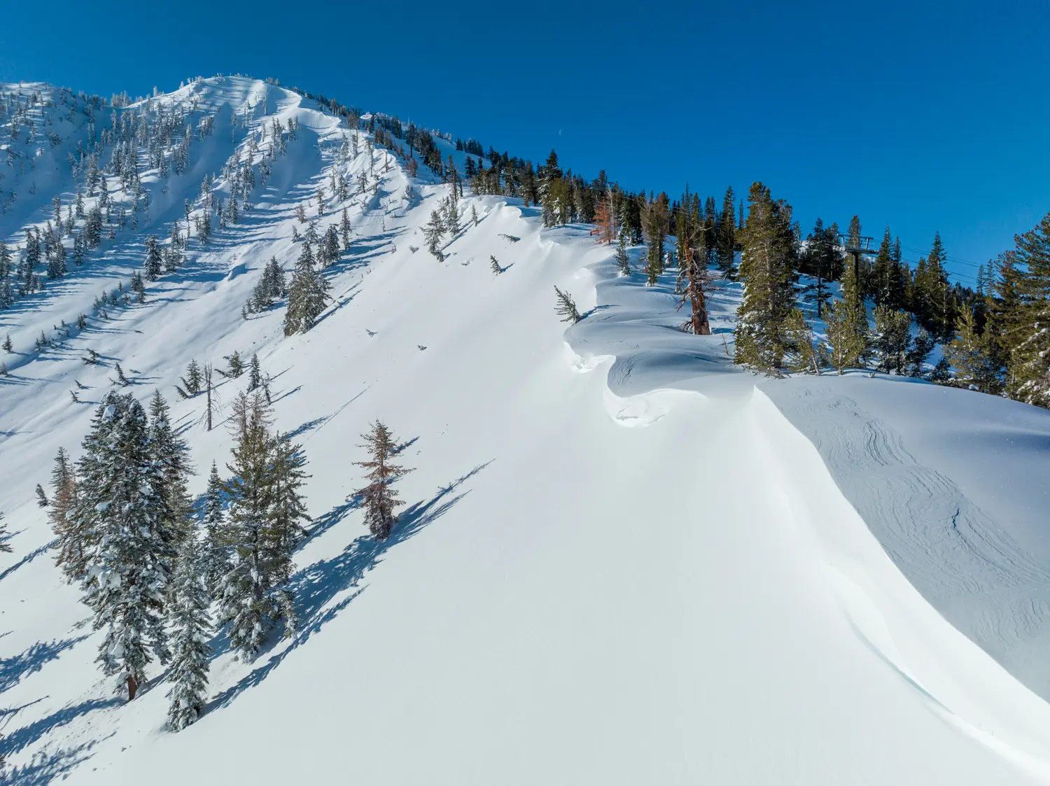A pristine, snow-covered mountain slope under a clear blue sky. The slope is dotted with scattered evergreen trees, and there are softly curved ridges and windblown patterns in the snow, creating a serene winter landscape. Mt. Rose Ski Tahoe