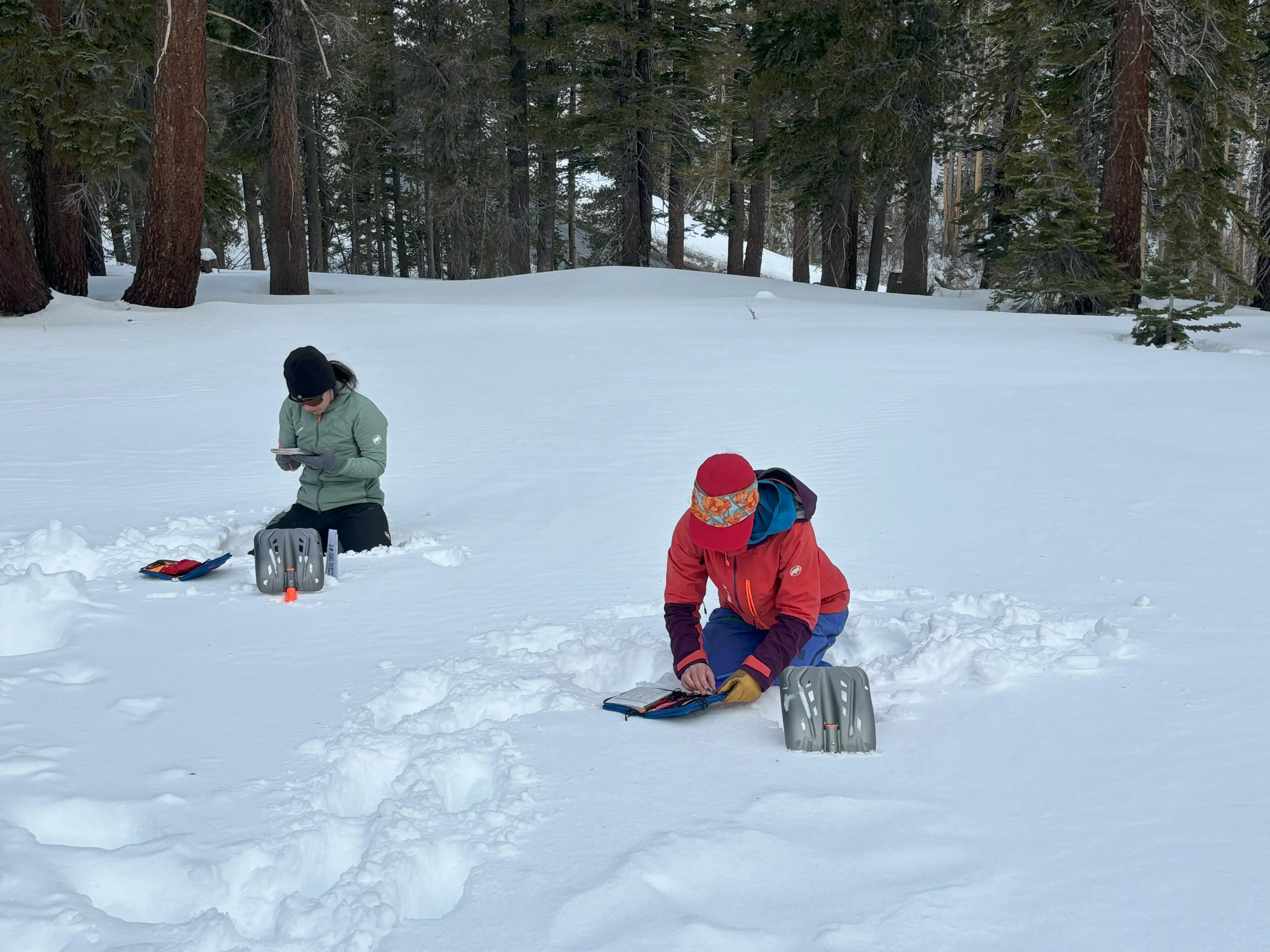 Two people wearing winter clothing are kneeling in a snowy forest, examining avalanche beacons placed in the snow. Tall trees surround them, and the ground is covered in snow. Both individuals appear to be focused on their tasks. Mt. Rose Ski Tahoe