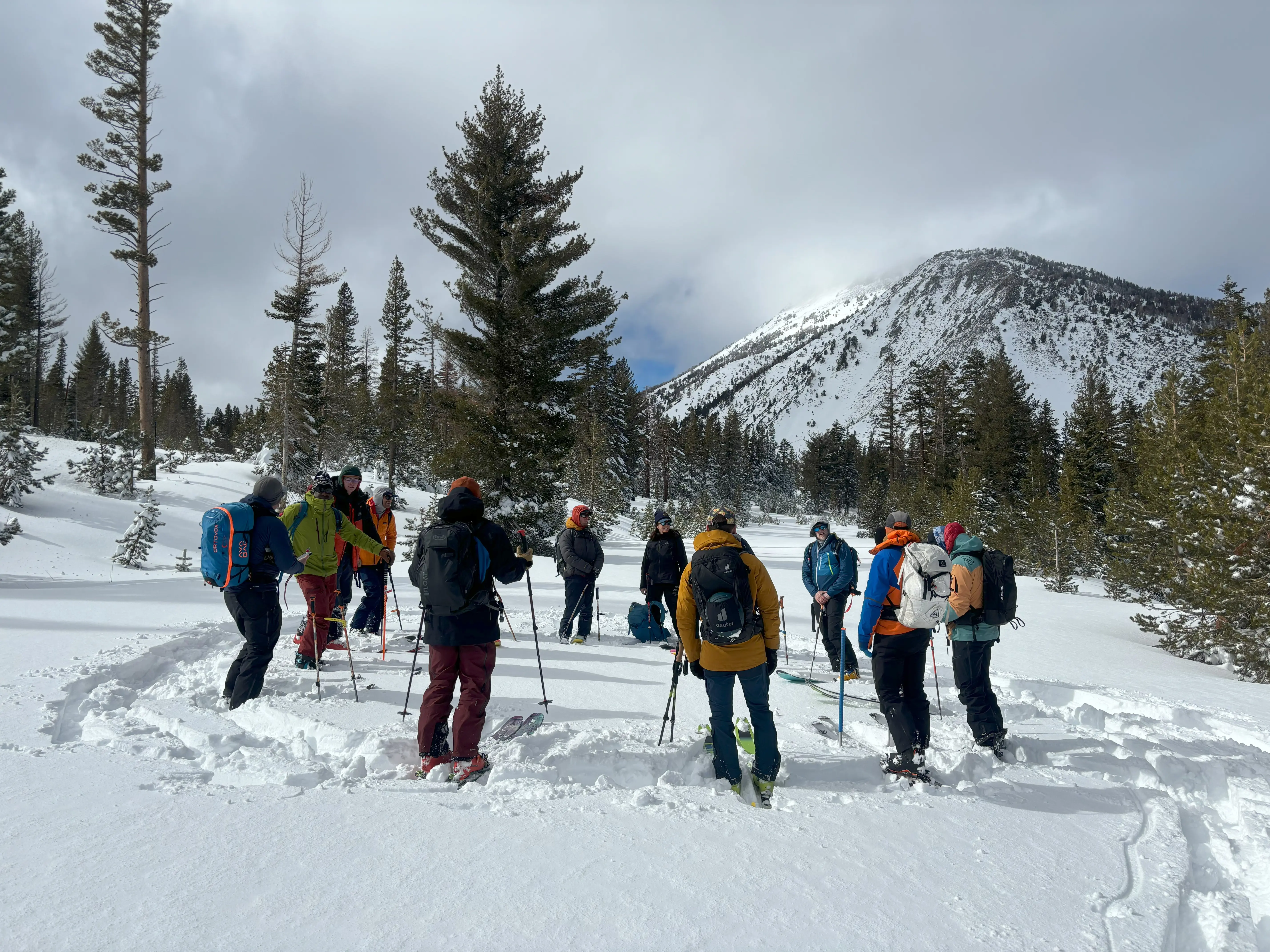 A group of people wearing winter gear stand in a snowy landscape surrounded by trees. They are gathered in a circle, holding ski poles. In the background, a mountain is partially covered by clouds. Mt. Rose Ski Tahoe