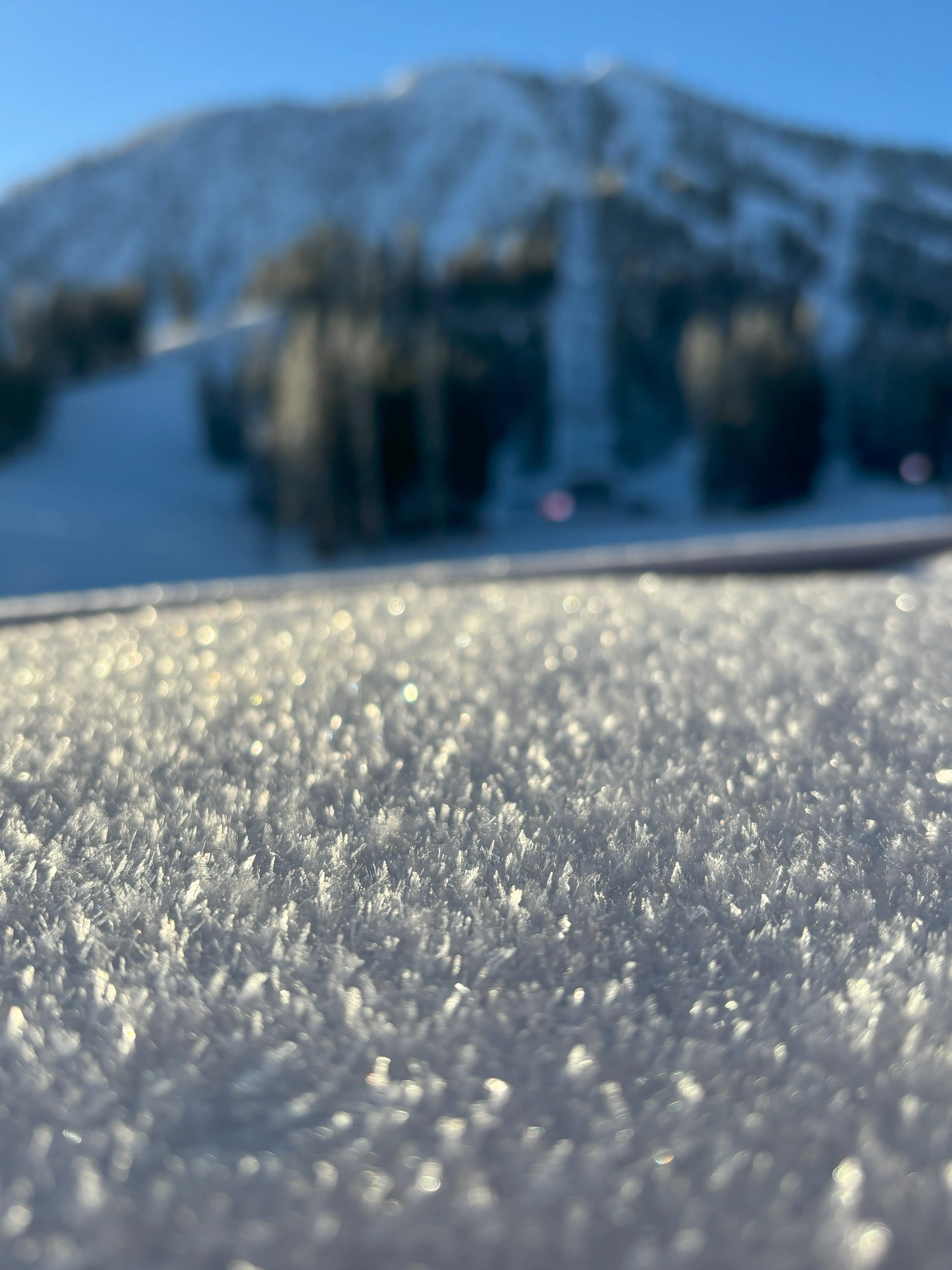 Close-up of frost crystals on a flat surface with a snowy, blurred mountain and trees in the background under a clear blue sky. Mt. Rose Ski Tahoe