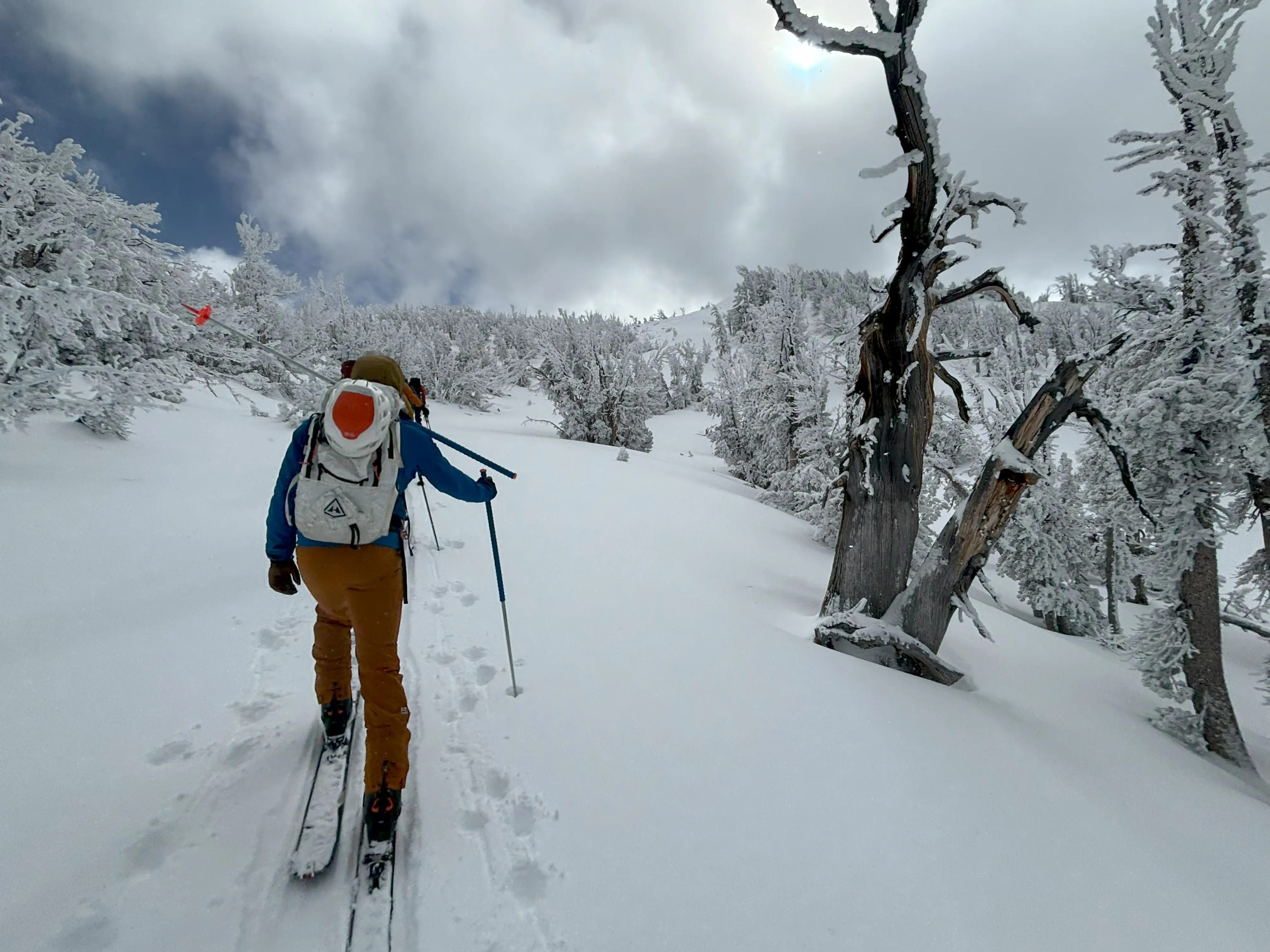 A skier in brown pants and a blue jacket ascends a snowy slope with ski poles. They are surrounded by snow-covered trees under a cloudy sky. Mt. Rose Ski Tahoe