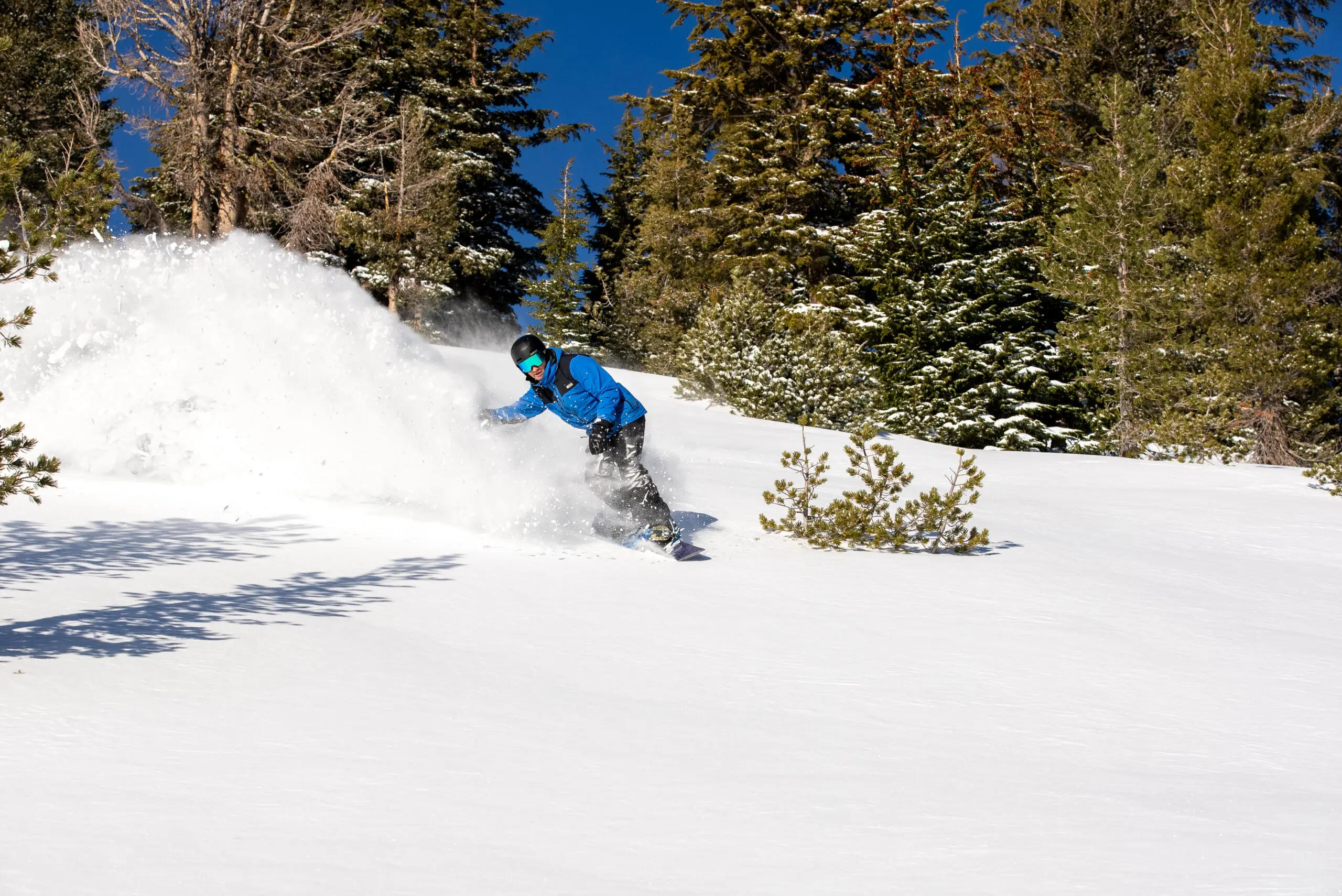 A skier in a light green jacket and black helmet moves swiftly downhill at Ski Tahoe, kicking up a spray of snow. They are surrounded by evergreen trees under a clear blue sky. Mt. Rose Ski Tahoe