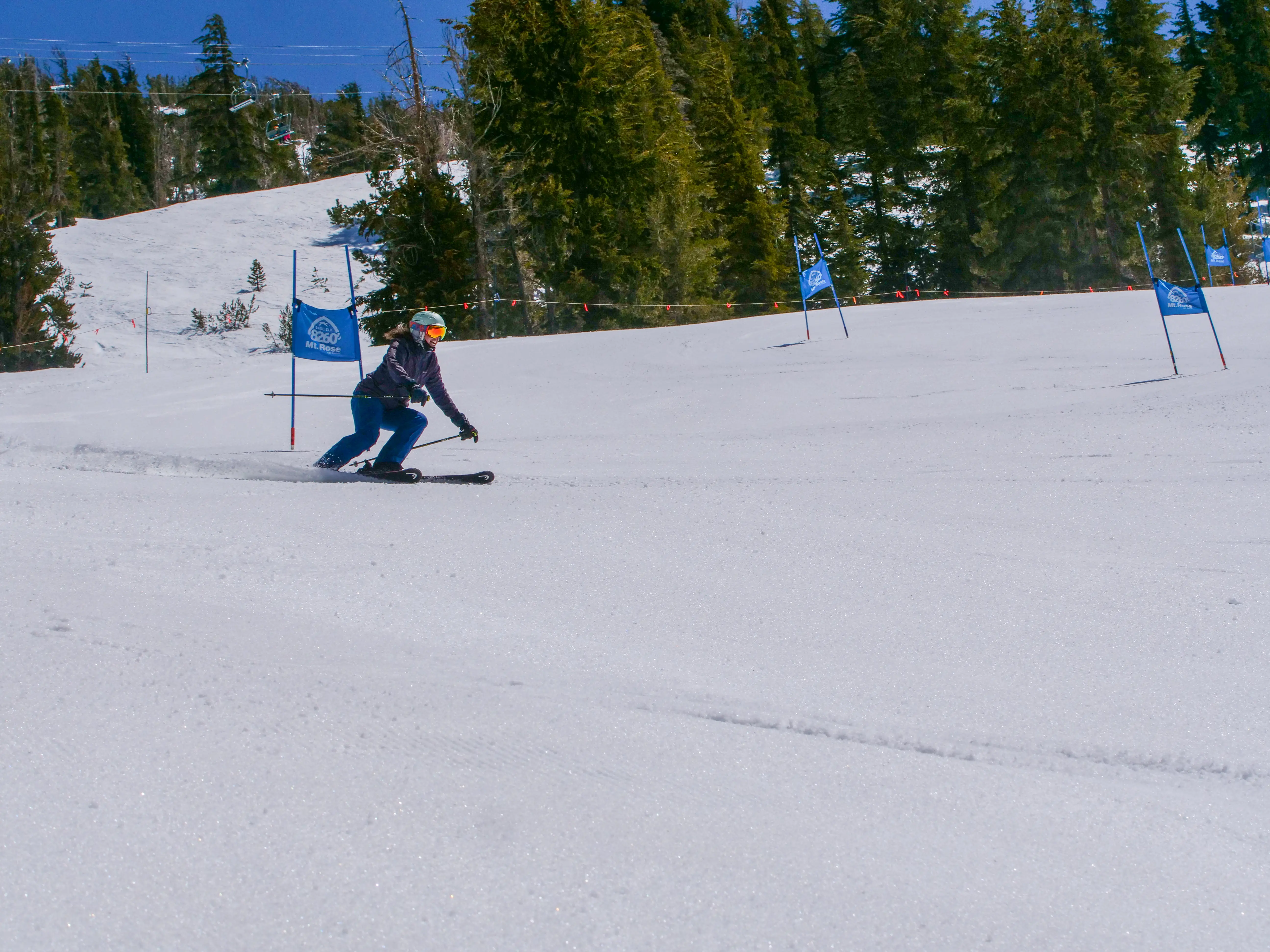 A person snowboards down a snowy slope through blue slalom gates, surrounded by tall green pine trees under a clear blue sky. Mt. Rose Ski Tahoe