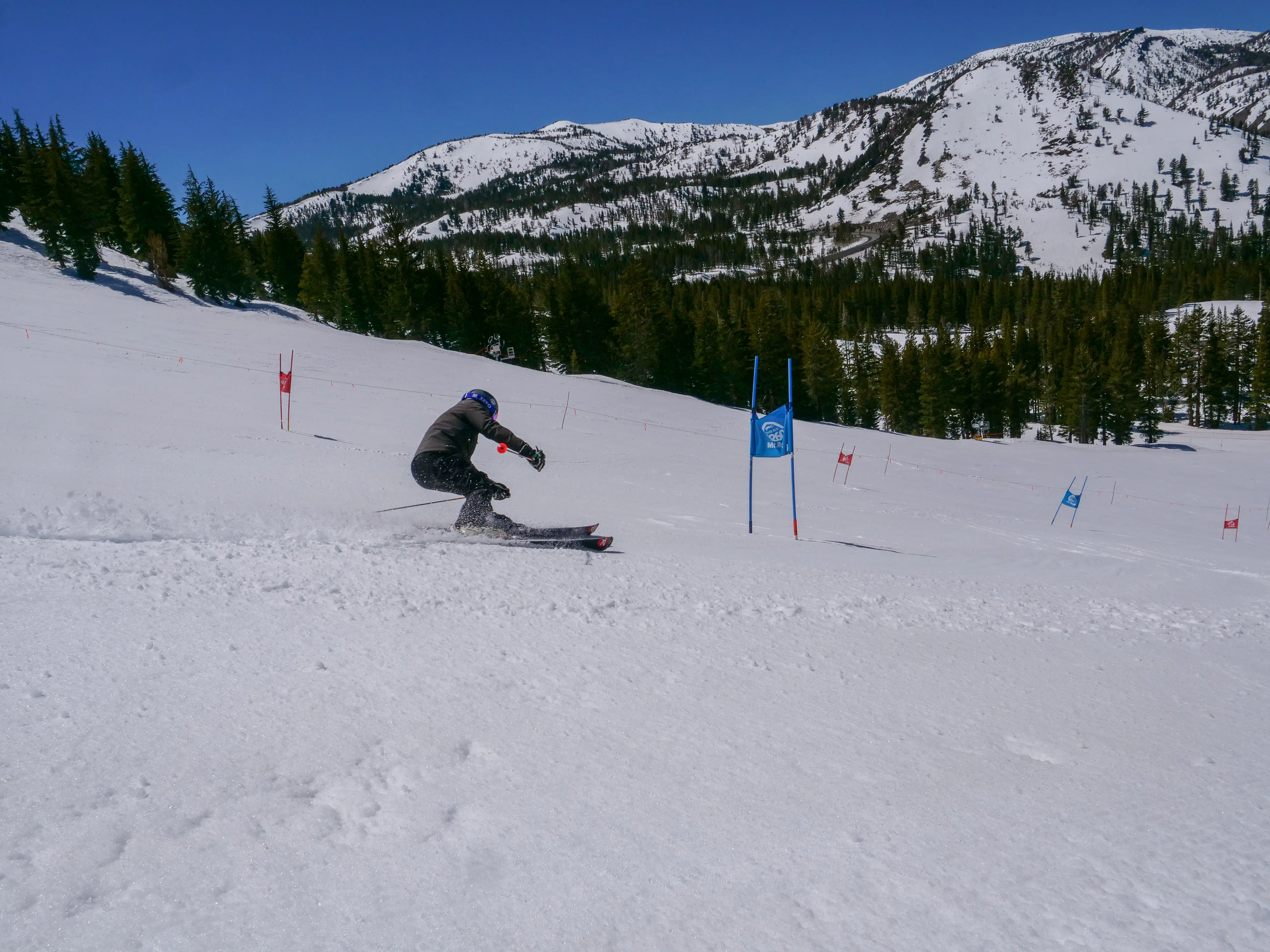 A skier in a black outfit and helmet races downhill between slalom gates on a snowy mountain slope, with pine trees and snow-covered peaks in the background under a clear blue sky. Mt. Rose Ski Tahoe