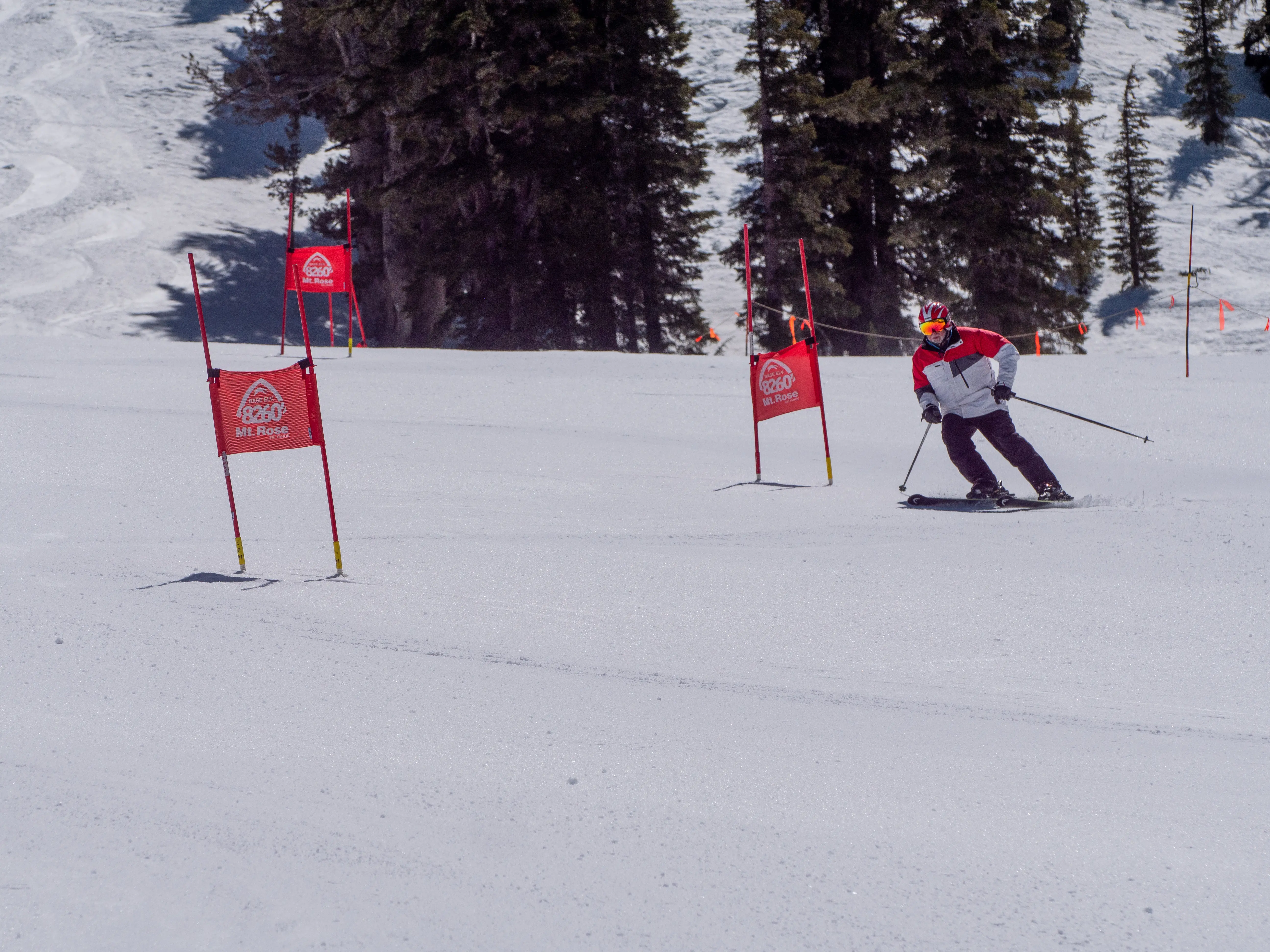 A skier wearing a white and red jacket and black pants skis downhill through red slalom gates on a snowy mountain, with tall evergreen trees in the background. Mt. Rose Ski Tahoe