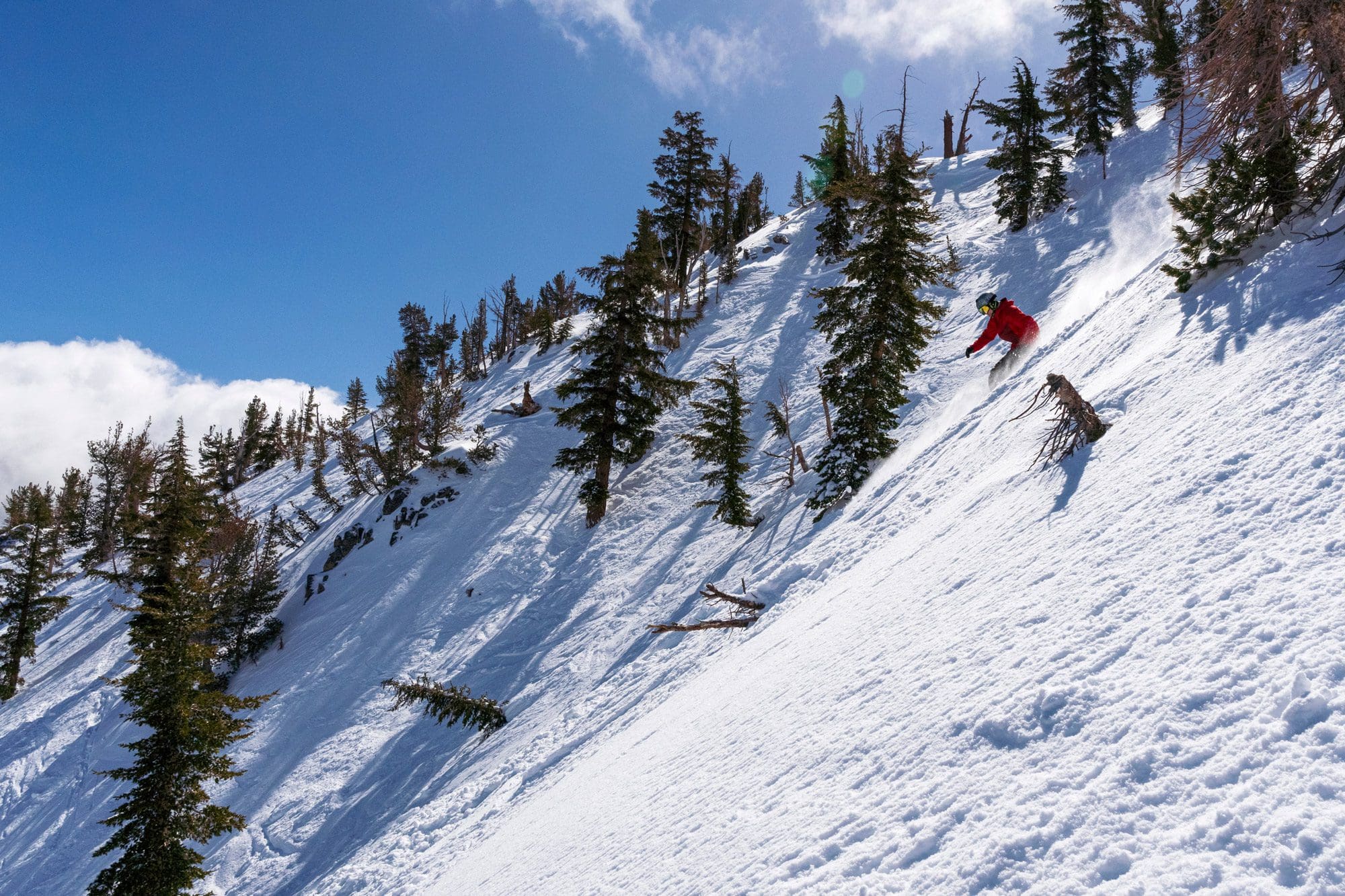 The Chutes - Mt. Rose Ski Tahoe Ski Tahoe