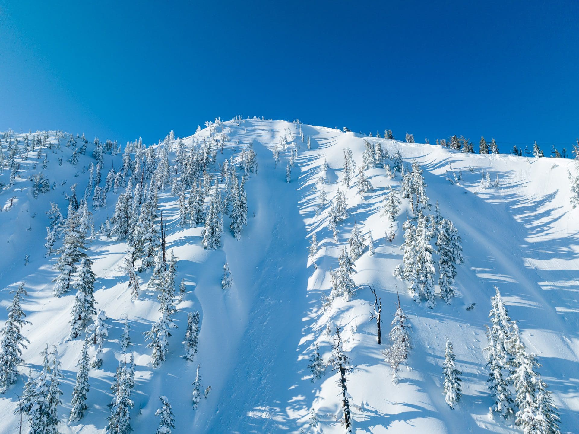 Mt. Rose A snow-covered mountain slope under a bright blue sky. The slope is dotted with pine trees laden with snow, and chutes carve through the pristine snow. Shadows from the trees create a tranquil and picturesque winter landscape.