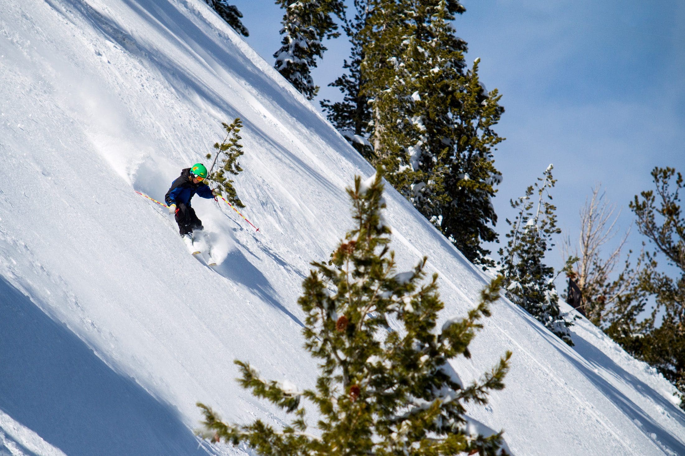 Mt. Rose A skier in a green helmet and dark clothing descends a steep, snow-covered mountain slope. Snow is flying behind them as they carve through fresh powder and navigate narrow chutes. Tall pine trees appear in the foreground and background, with a clear blue sky overhead.