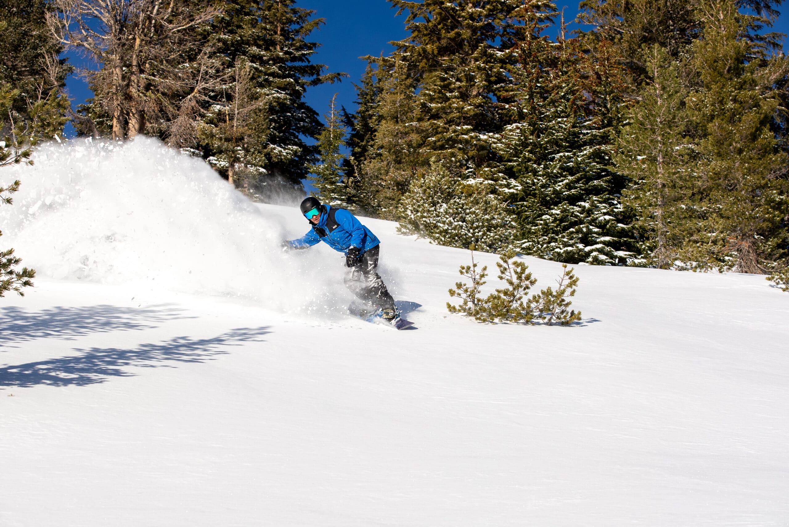 A skier in a light green jacket and black helmet moves swiftly downhill at Ski Tahoe, kicking up a spray of snow. They are surrounded by evergreen trees under a clear blue sky. Mt. Rose Ski Tahoe
