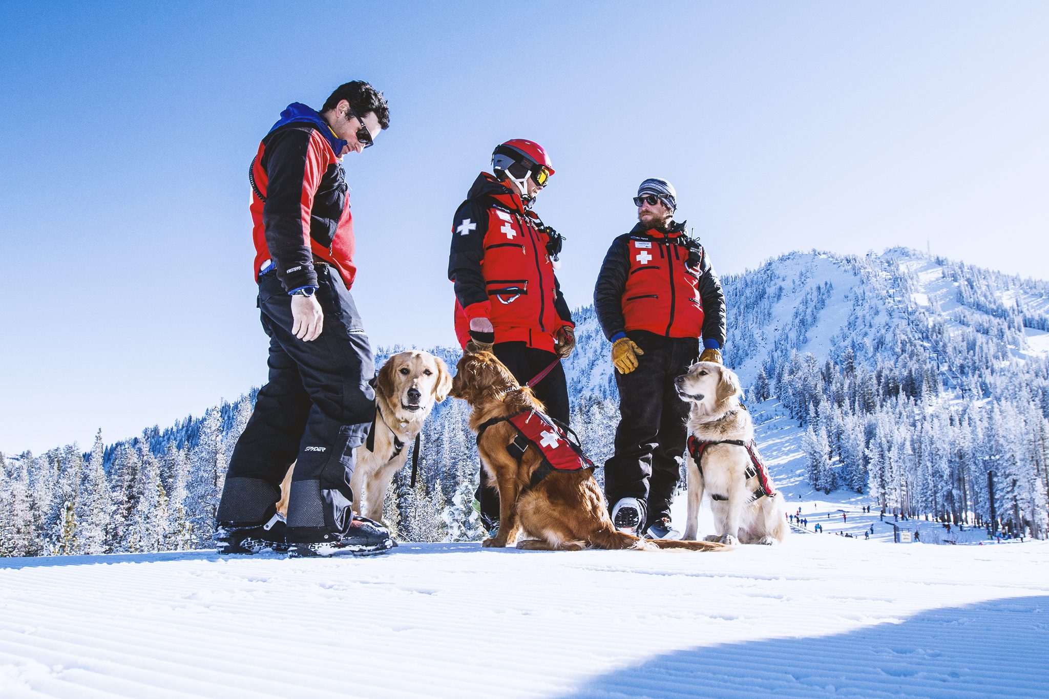 Three ski patrollers in red jackets stand on snowy ground with three rescue dogs wearing vests. Snow-covered trees and mountains are visible in the background under a clear blue sky. Mt. Rose Ski Tahoe