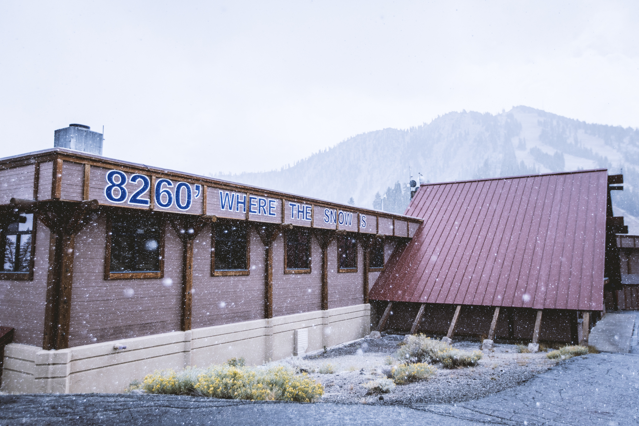 A building with a red roof and a sign reading “8260’ WHERE THE SNOW IS,” sits amid falling snow with a mountain and pine trees visible in the misty background. Mt. Rose Ski Tahoe