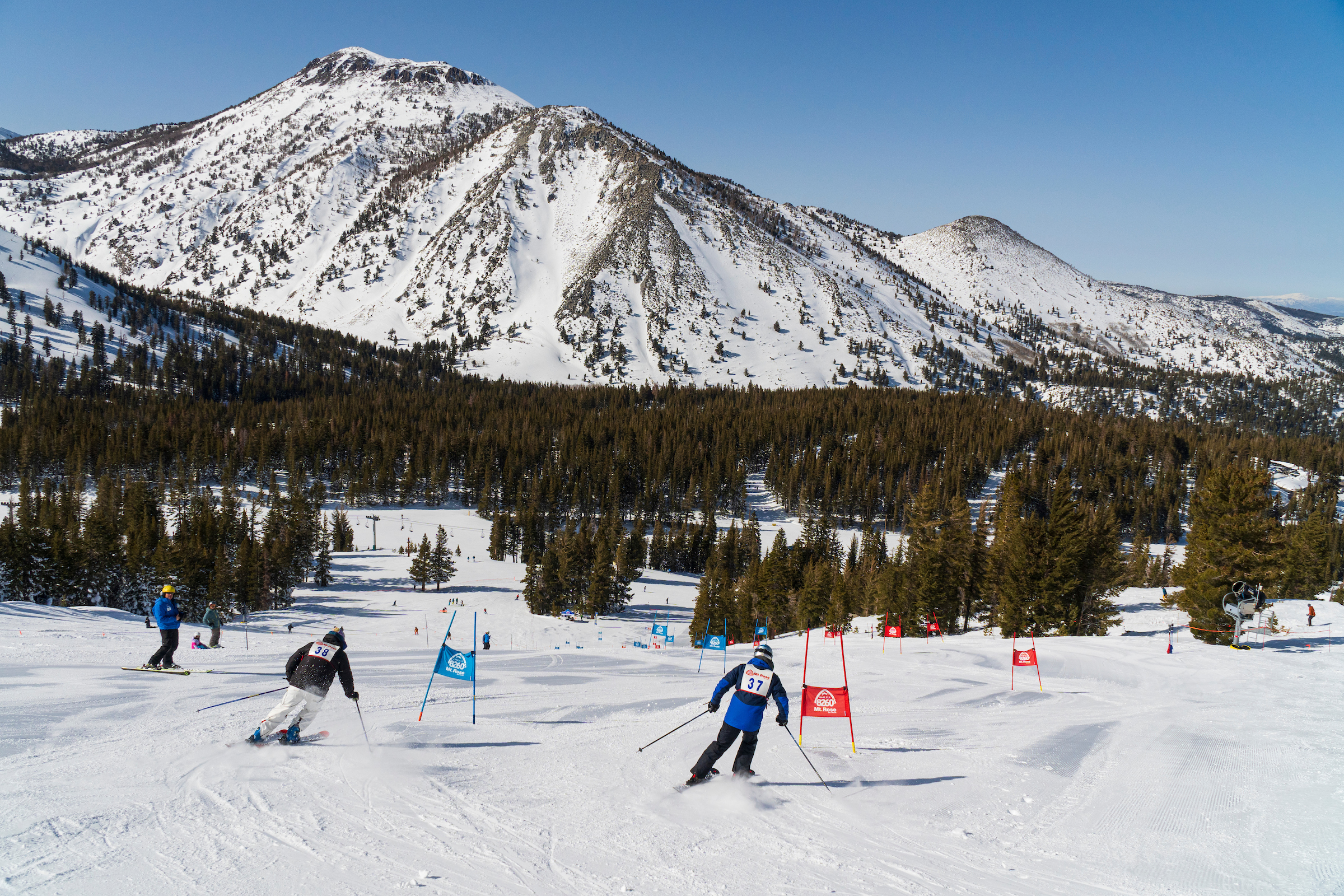 Four skiers wearing numbered vests race down a snow-covered mountain course lined with gates, with pine trees and tall, rugged peaks in the background under a clear blue sky. Mt. Rose Ski Tahoe